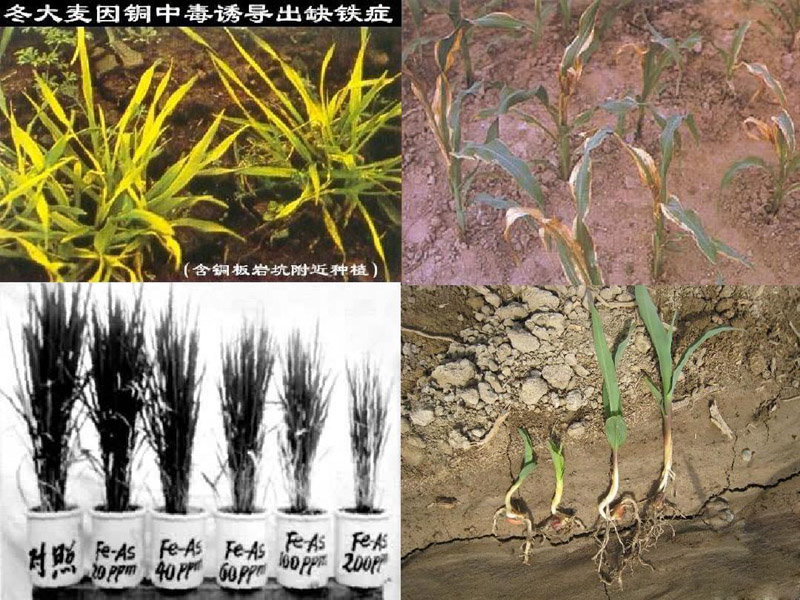 熱解處理技術(shù)是土壤重金屬污染修復(fù)的重要手段